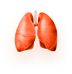 Subject Zero | respiratory rate